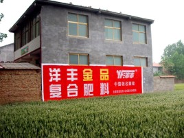 武穴如何让墙体广告展现最大化效果