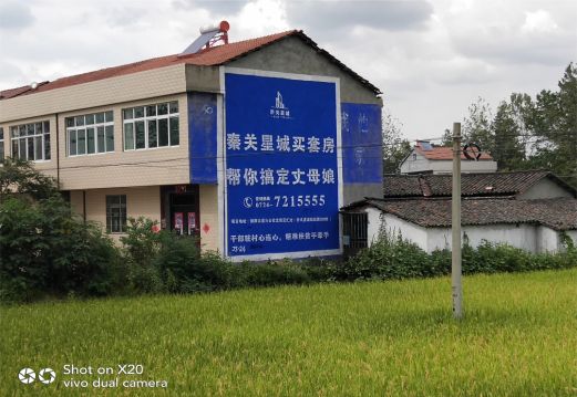 武穴决定墙体广告价格的因素有哪些?