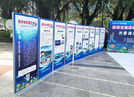 武穴KT板的种类和知识。